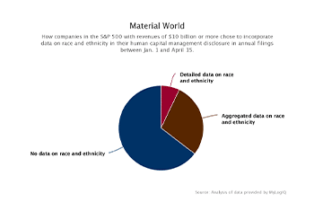 Scant Diversity Data in Human Capital Disclosures